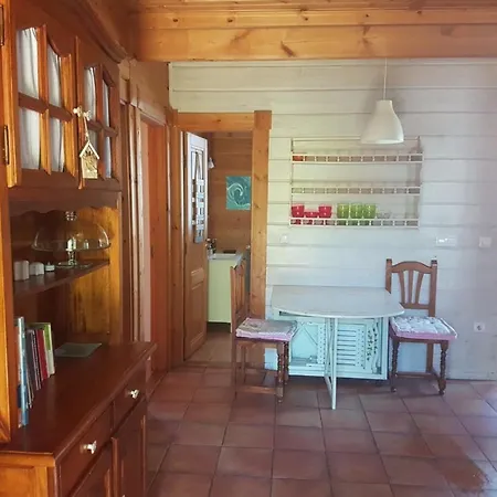 La Casa De Las Mascotas *