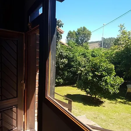 La Casa De Las Mascotas *